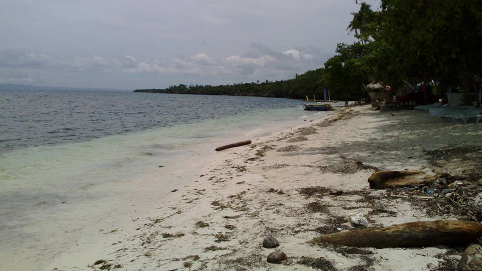 17522596_10155065929625132_8061698413136010604_n