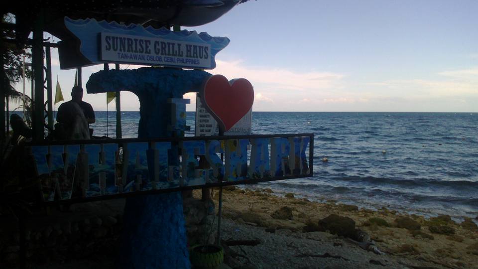 17862346_10155076937295132_4101089762920513820_n