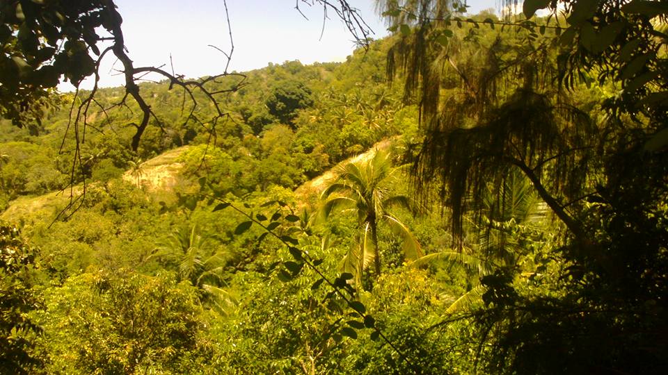 17903716_10155076898715132_7994423005396825072_n