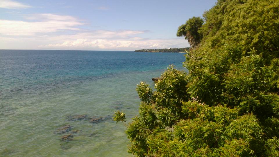 17904251_10155076894250132_4535671237789365545_n