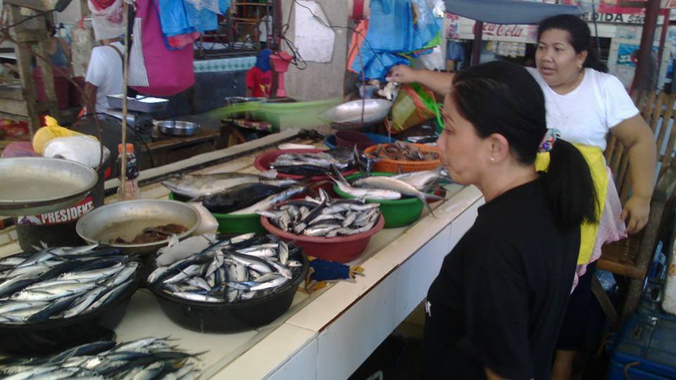 17904523_10155076897265132_8324407403520017278_n