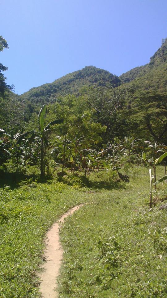 17952548_10155076903050132_5317009943661757112_n