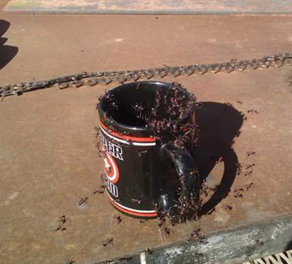 FB_IMG_1505991110802