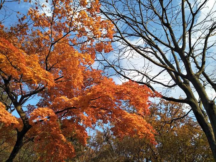 FB_IMG_1515360114770