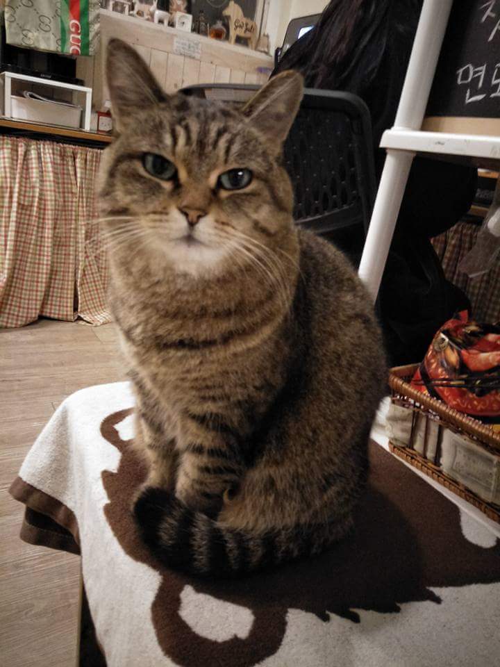 FB_IMG_1515360595136